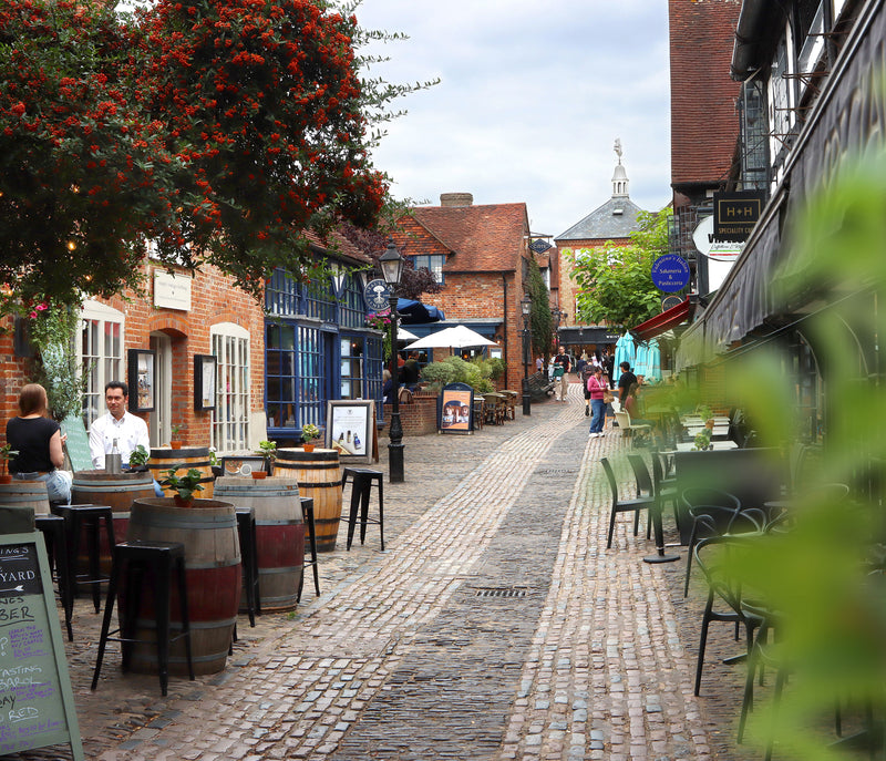 Lion & Lamb Walk Farnham